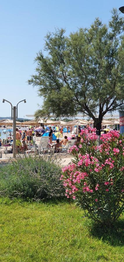 Apartments Lucija-Klara Brodarica  Εξωτερικό φωτογραφία