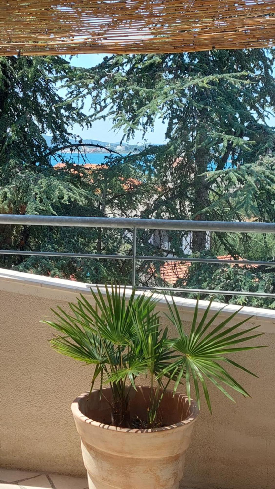 Apartments Lucija-Klara Brodarica  Δωμάτιο φωτογραφία